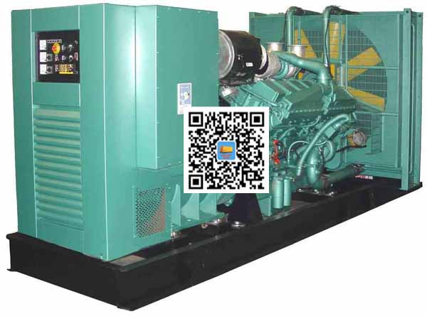 西沙笼型异步发电机的电力电子控制技术
